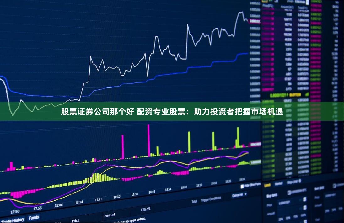 股票证券公司那个好 配资专业股票：助力投资者把握市场机遇