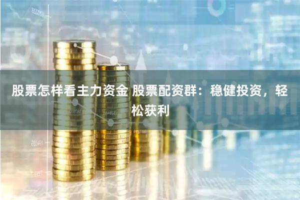 股票怎样看主力资金 股票配资群：稳健投资，轻松获利