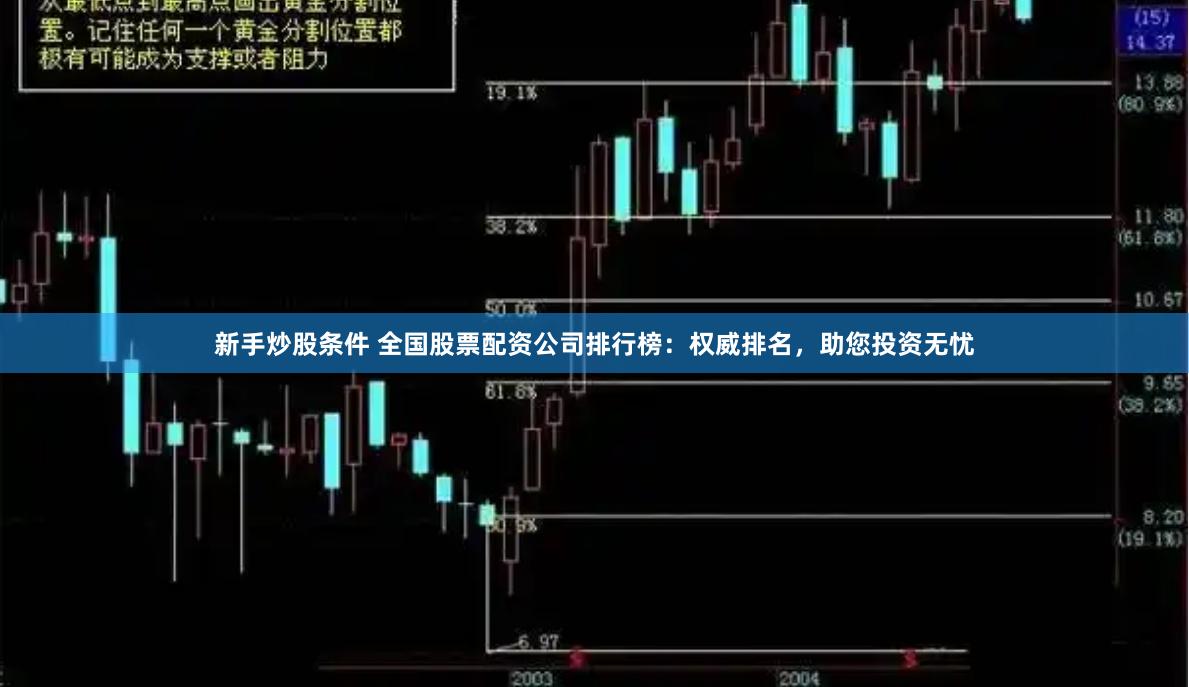 新手炒股条件 全国股票配资公司排行榜:权威排名,助您投资无忧